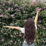 牛牛哈哈哈哈哈哈