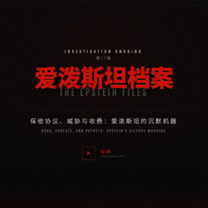 爱泼斯坦档案17：保密协议、威胁与收费：爱泼斯坦的沉默机器