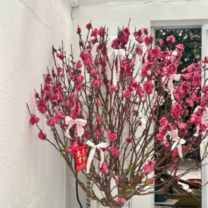 ep.016 | 新年开更：聊聊2024年和最近