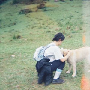 大胆在此