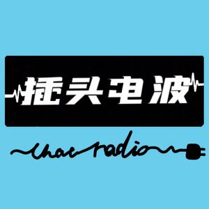 插头电波