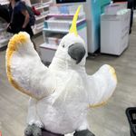 干饭小葵