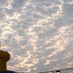 是麦麦的夏天啊