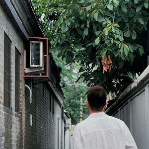 小宁宁大人