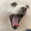 山丶目