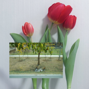 NO.43 游牧世界只想疯狂撒野