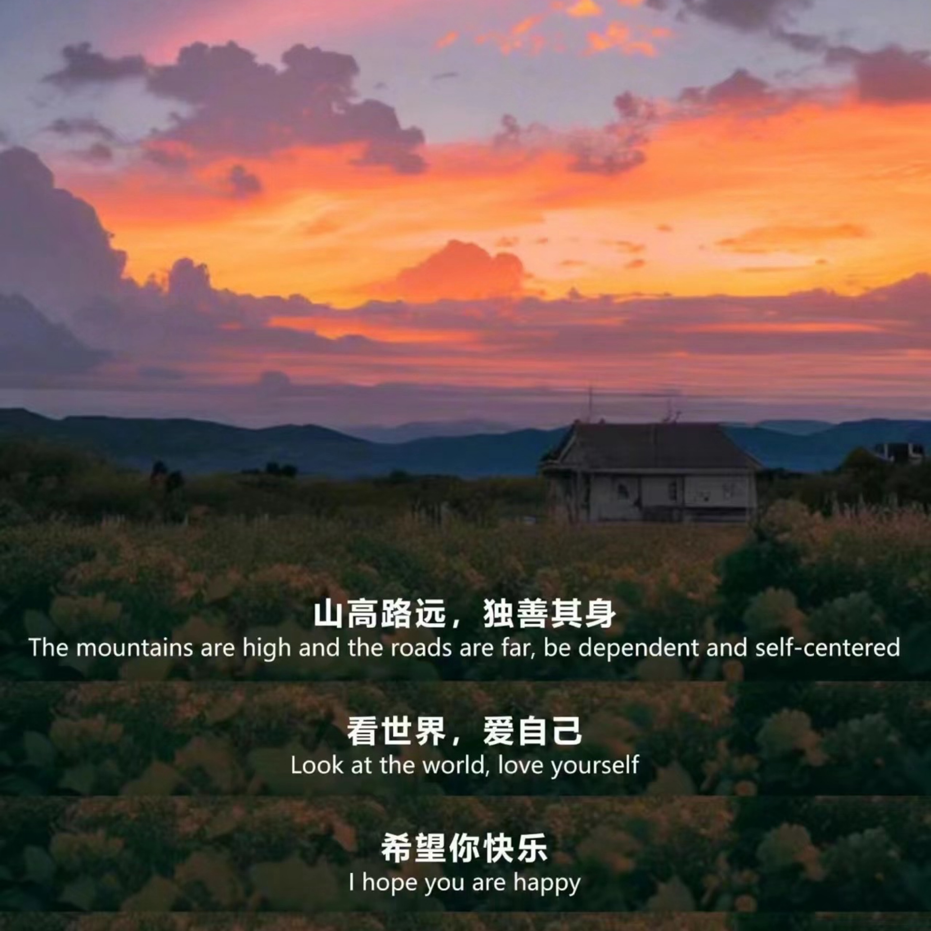 Vol.2-利用系统化思维，运营美好人生- Fei说心语| 小宇宙- 听播客，上小宇宙