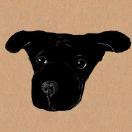 小布不是自行车