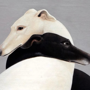 无乘Vol.6 占卜有什么用？占卜为什么准？