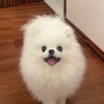漫漫亦灿灿嘿
