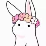 是朱木木呀