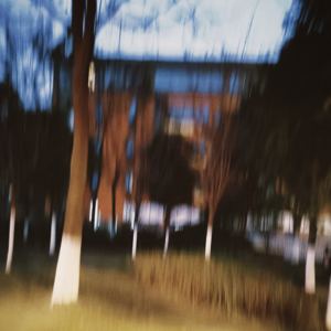 VOL85.怪诞美学：我在我的维度上，却坐着候鸟的梦。