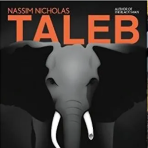 Nassim Taleb’s Skin in the Game