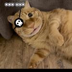 这个网名里得带个好字