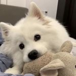 鹰院的luna