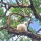 学号2149正在热学中