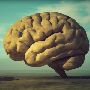 【1.1小时】α波音乐,提高学习力、专注集中力、改善睡眠