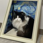 今天马甲还没掉