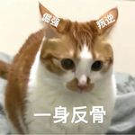 盐炒胡萝卜