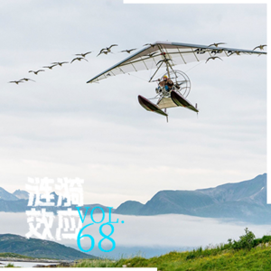 Vol.68 对话20年观鸟人：「观鸟」教会我们的事