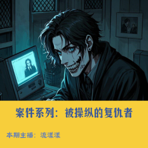 16. 案件系列：反转再反转，锡林浩特命案中被操纵的“复仇者”…