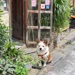 该昵称不存在1992