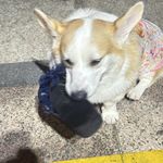 坐在路边钓鲨鱼