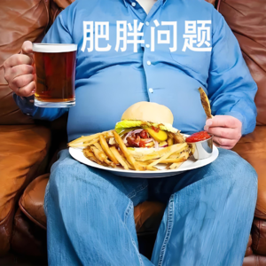 6分钟中文 肥胖问题 Obesity problem