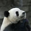 Jesse探讨AI硬件