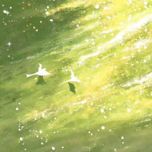 【声寮】你内心真实的渴望是什么？