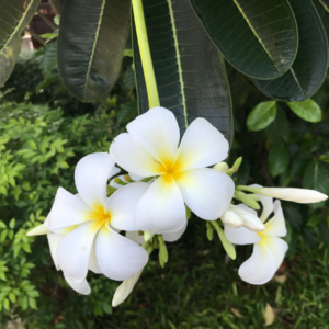 EP20 | 吃着吃着就老了：人生苦短，再吃一碗