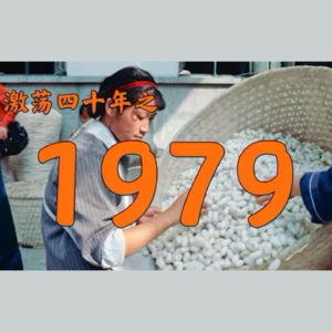 E16.1979年的中国发生了什么？【激荡四十年·1979】
