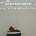 小兔不着急