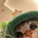 Meky熊