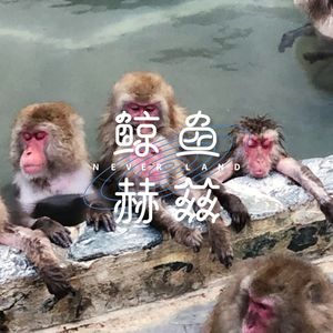 Vol.34 今年冬天的泡汤计划泡汤了吗？