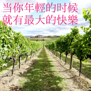 02.跨年去哪里:当你年轻的时候,就有最大的快乐