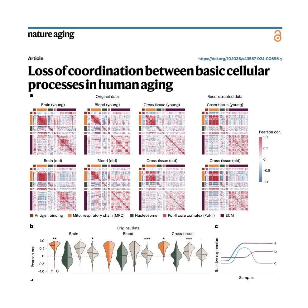 1244-Loss of Transcriptional Coordination in Human Aging episode artwork