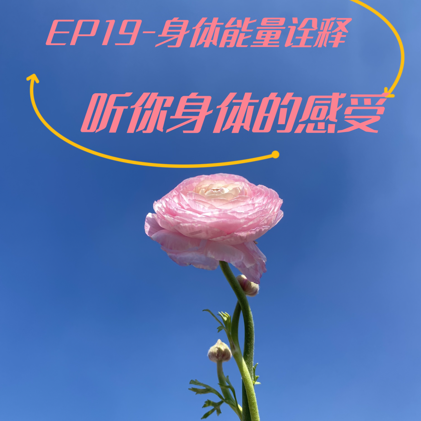 cover of episode EP19-听你身体的感受|接受女性阴性能量|身体能量诠释
