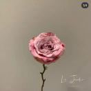 越_sf11