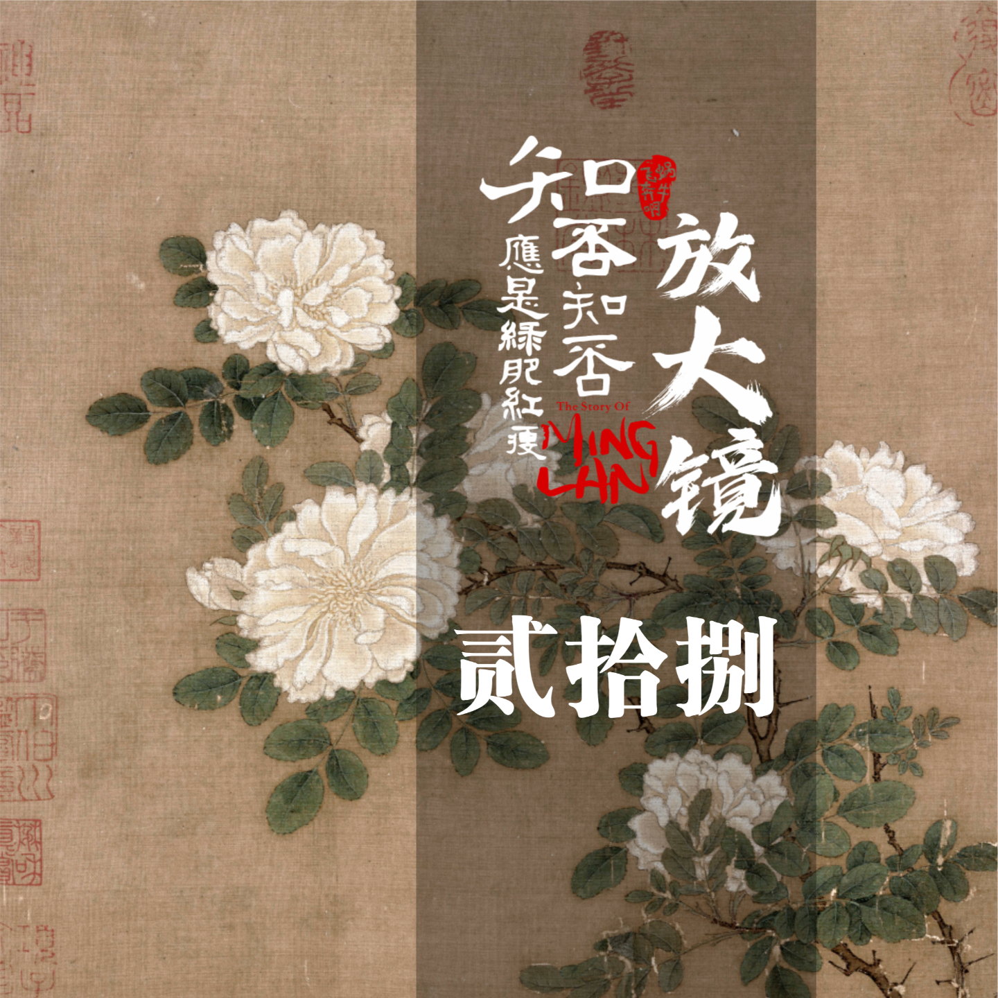 知否放大镜 28：情从何处来，又向何处去 episode artwork