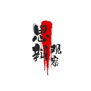 思辩观察实录