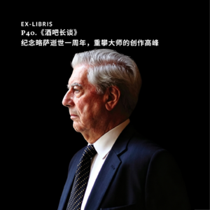 P40.《酒吧长谈》：纪念略萨逝世一周年，重攀大师的创作高峰
