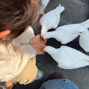 vol.24 FD番外：大胆开麦讨厌的男人