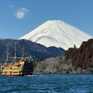 介绍