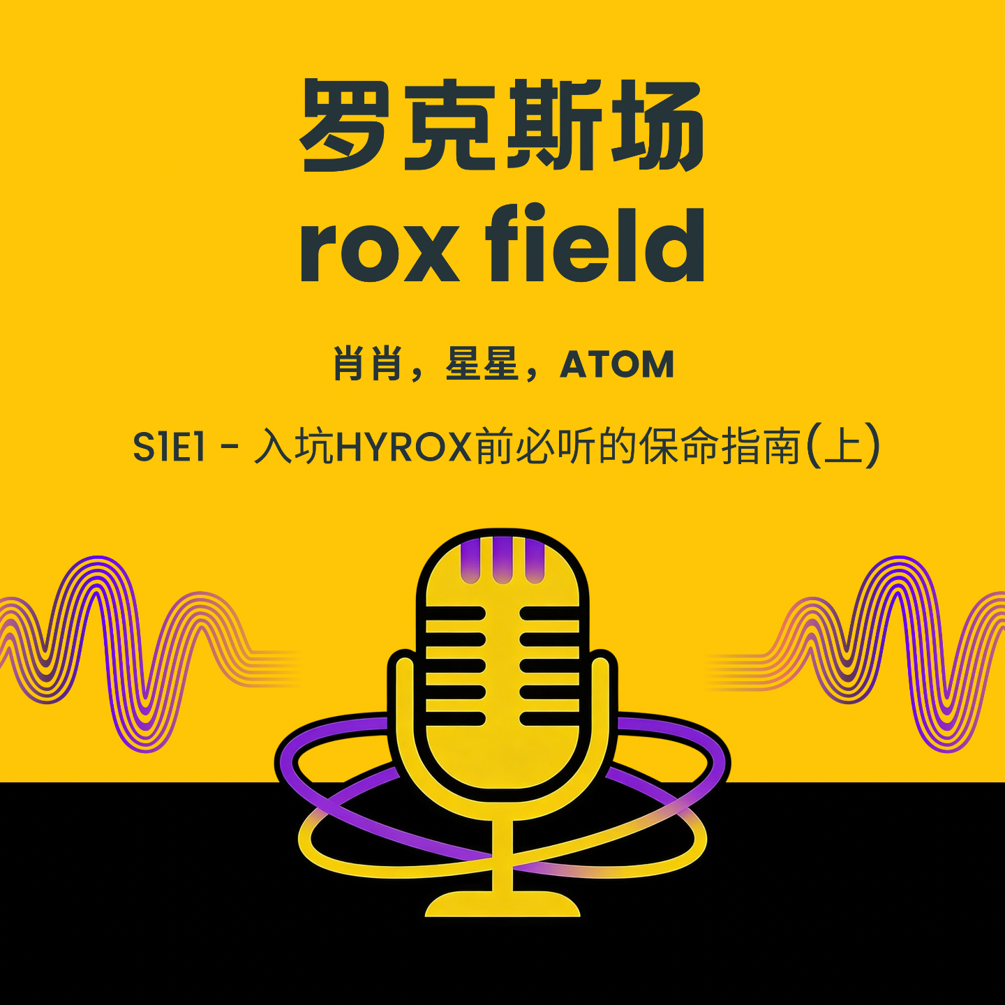 S1E1 - 入坑HYROX前必听的保命指南（上） episode artwork