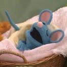 Lemur_34Q1