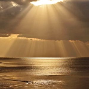 No. 132 - 你看，中年人在稳定与变化之间跳舞