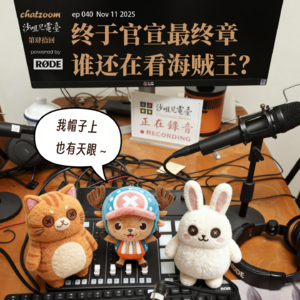 第四十回:终于官宣最终章,谁还在看海贼王?