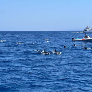 Vol19. Soda：从撒哈拉到红海，埃及自由行