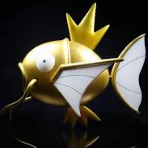 重新做人鲤鱼王